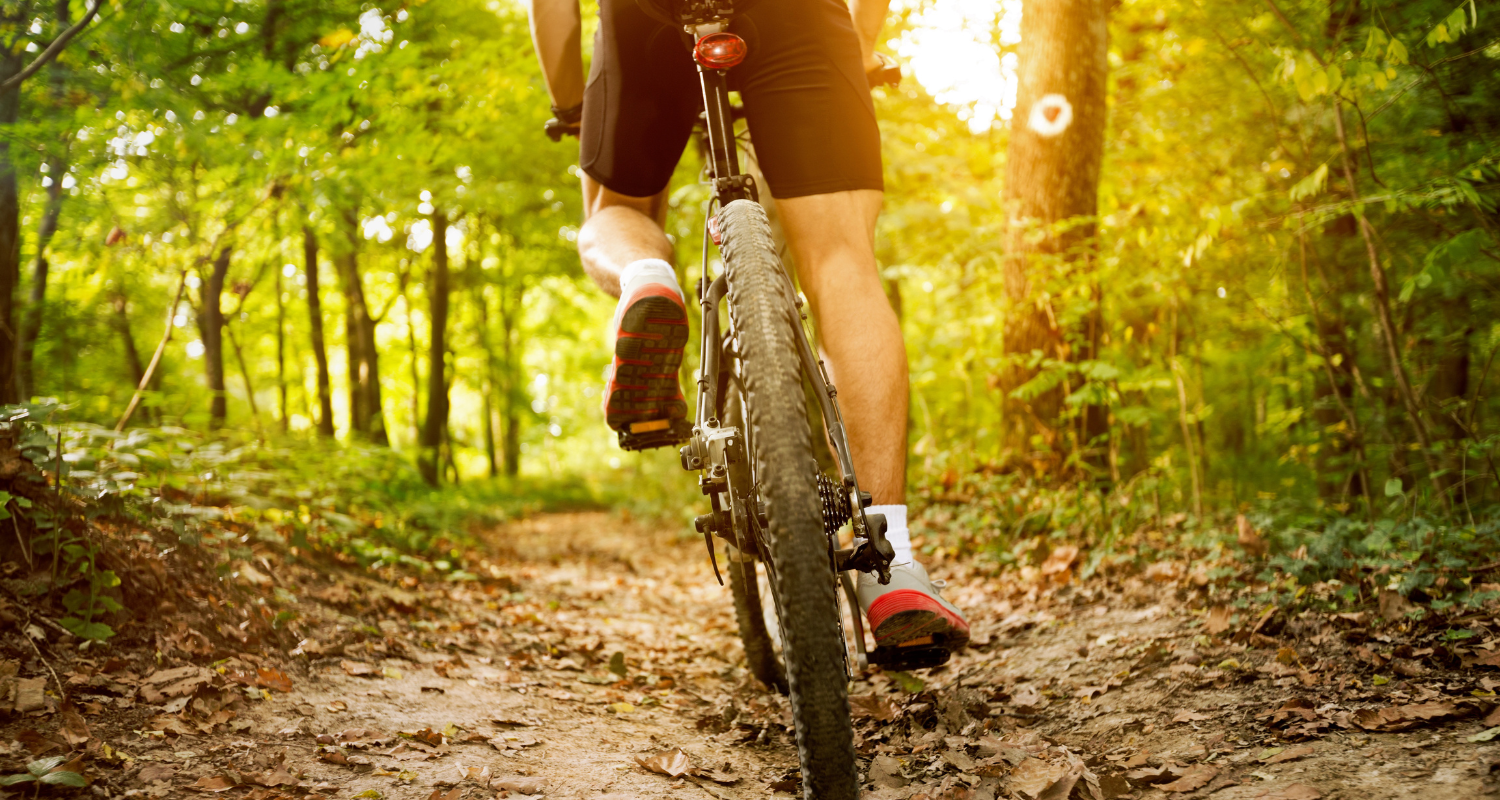 Mountain Biking Near Muldersdrift: The Best Trails in the Cradle